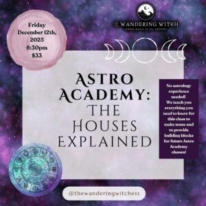 Astro Academy: Houses Explained Poster